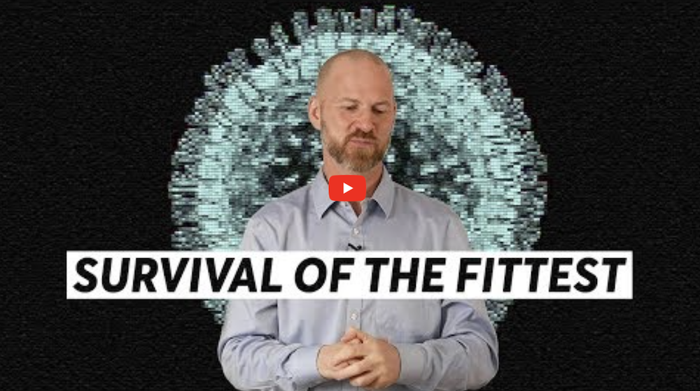 Corona Virus—Survival of the Fittest?