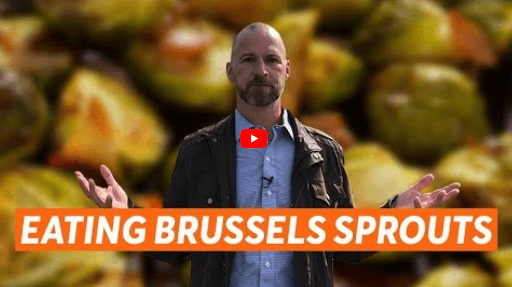 Coronavirus and Brussels Sprouts (DEALING WITH STRESS)