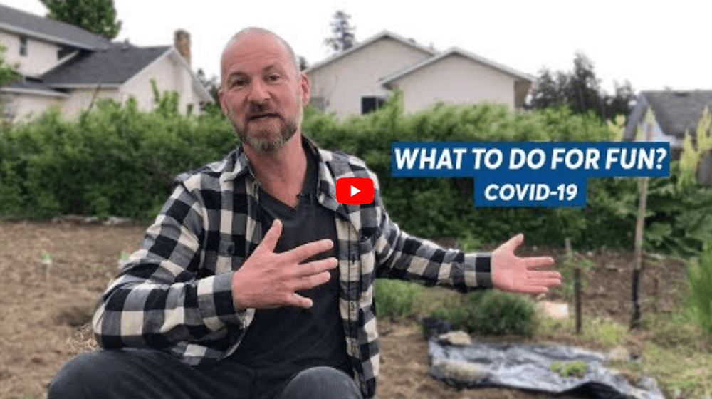 What to do for Fun in the Age of Coronavirus?