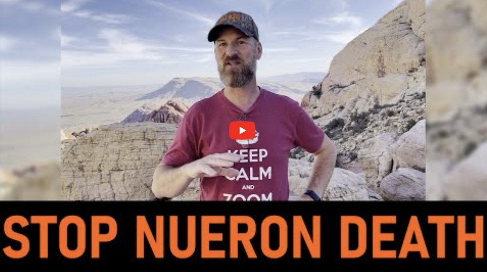 Why is Brain Derived Neurotrophic Factor so important? (BDNF)